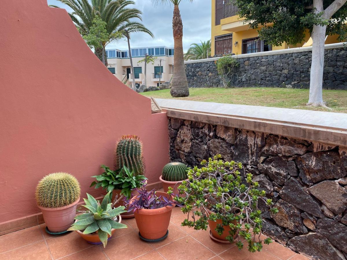 Dreaming The Sun Tenerife Costa Del Silencio Ngoại thất bức ảnh
